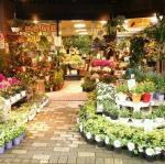 Facebook花征ページのご案内|「花征」　（東京都府中市の花屋）のブログ