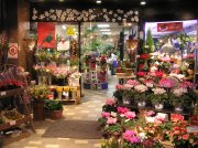 「花征」　（東京都府中市）の花屋店舗写真1